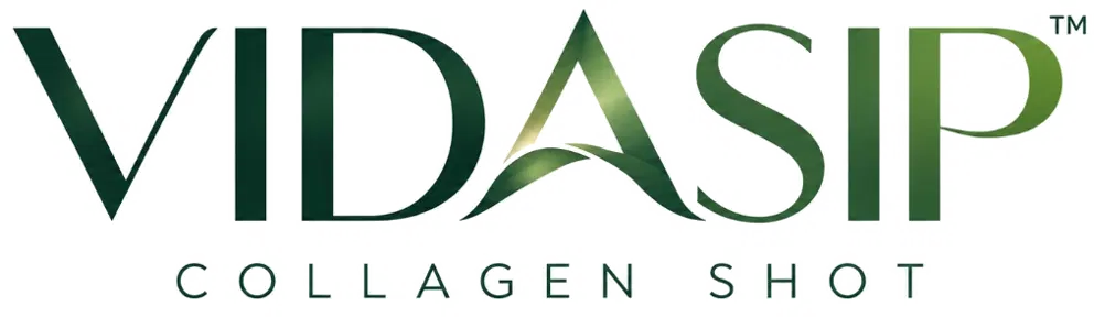 VIDASIP logo
